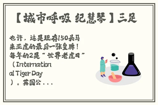 樱花www精品视频